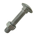 M16 - Galv - DIN603 Carriage Bolt Only - Steel Suppliers