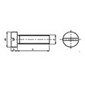 M4    - A2 - Grade 304 - DIN84