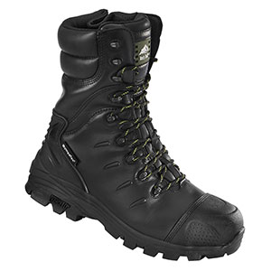 Monzonite Metatarsal Black S3 Monzonite Metatarsal Black S3